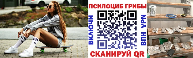Купить  Мценск  Псилоцибиновые грибы прущие грибы 